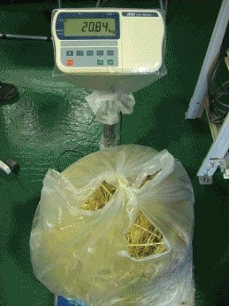2025澳门原料网网站