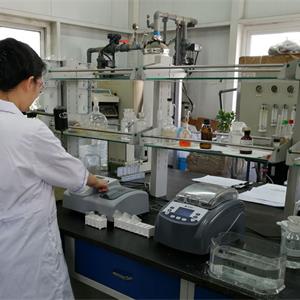 2025澳门原料网网站