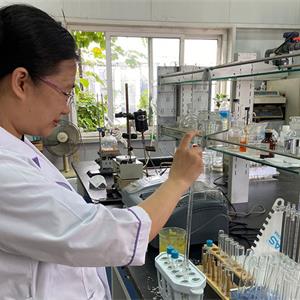 2025澳门原料网网站